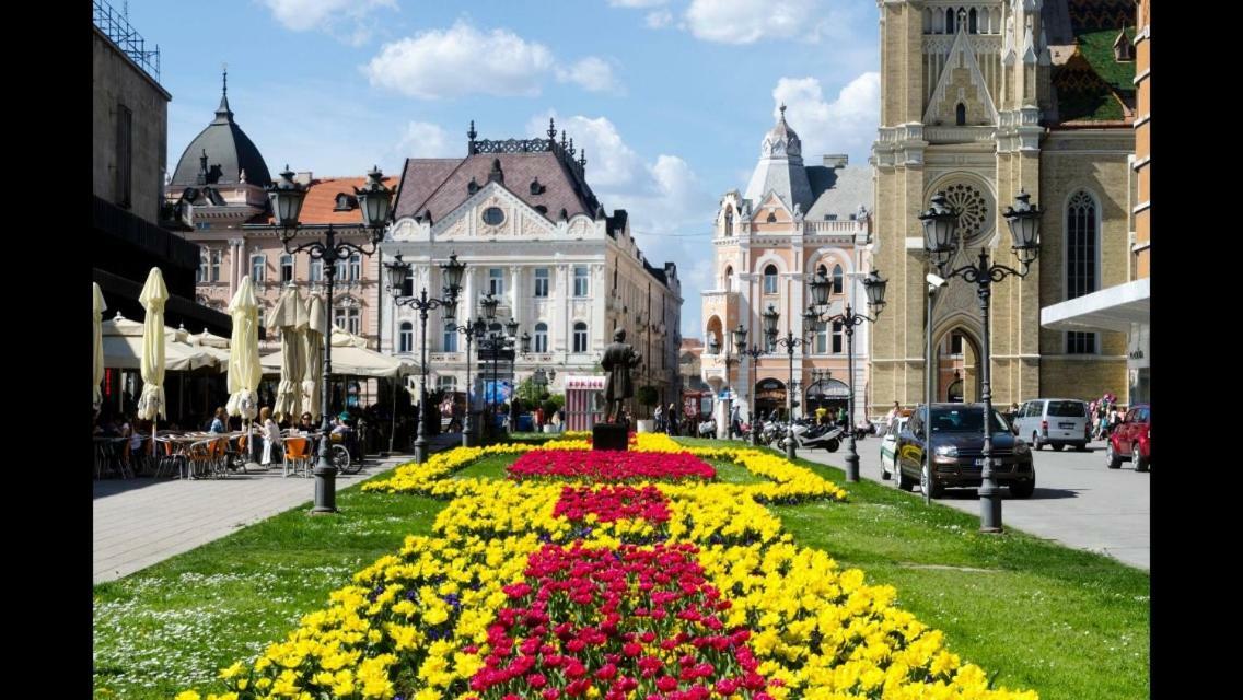 Family Top Rooms Bela Lada Sobe Novi Sad Exteriör bild